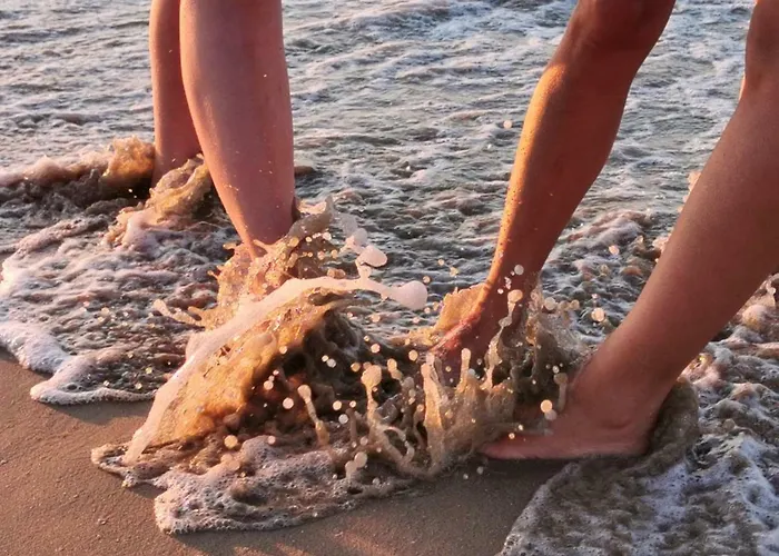 Elimar * 부르가스